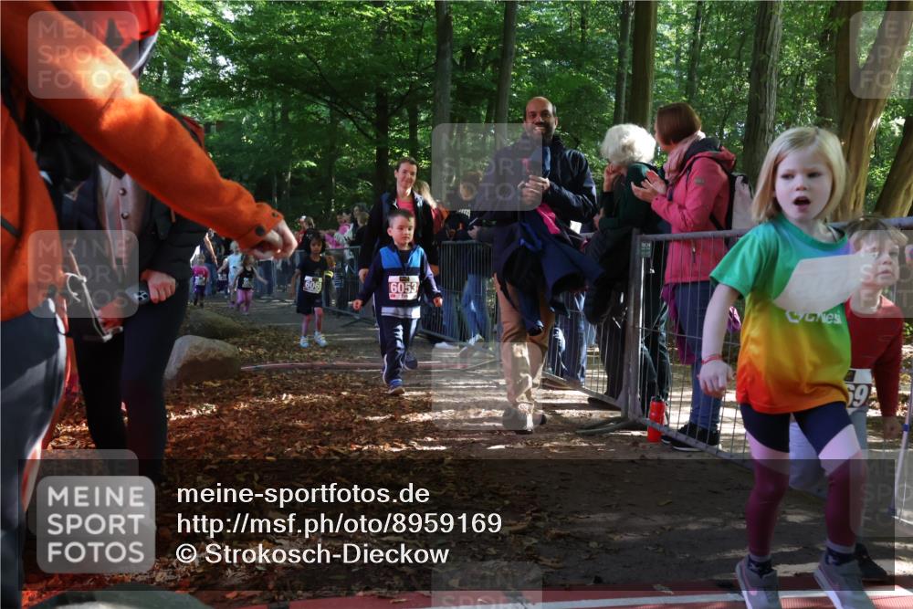 28.09.2025 - 33. Volkslauf durch das schöne Alstertal Strokosch-Dieckow http://msf.ph/oto/8959169 28.09.2025 10:43:33 Ziel  meine-sportfotos.de