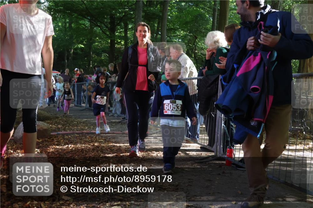 28.09.2025 - 33. Volkslauf durch das schöne Alstertal Strokosch-Dieckow http://msf.ph/oto/8959178 28.09.2025 10:43:34 Ziel  meine-sportfotos.de