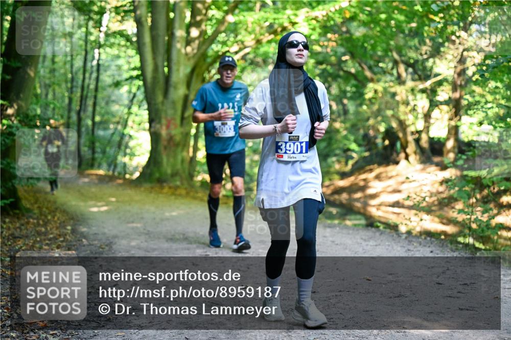28.09.2025 - 33. Volkslauf durch das schöne Alstertal Dr. Thomas Lammeyer http://msf.ph/oto/8959187 28.09.2025 10:53:33 Laufen 3003, 3901 meine-sportfotos.de