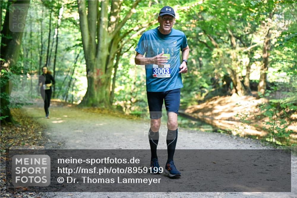 28.09.2025 - 33. Volkslauf durch das schöne Alstertal Dr. Thomas Lammeyer http://msf.ph/oto/8959199 28.09.2025 10:53:34 Laufen 2925, 3003 meine-sportfotos.de