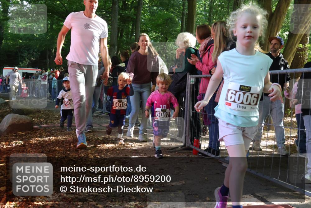 28.09.2025 - 33. Volkslauf durch das schöne Alstertal Strokosch-Dieckow http://msf.ph/oto/8959200 28.09.2025 10:43:41 Ziel  meine-sportfotos.de