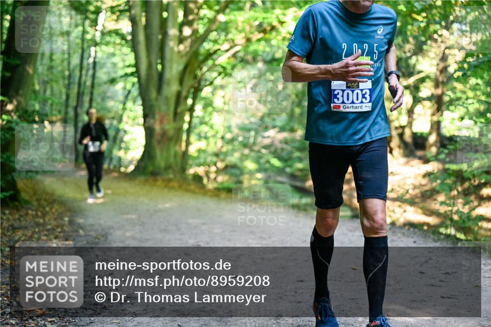 28.09.2025 - 33. Volkslauf durch das schöne Alstertal Dr. Thomas Lammeyer http://msf.ph/oto/8959208 28.09.2025 10:53:35 Laufen 2, 0, 25, 3003 meine-sportfotos.de
