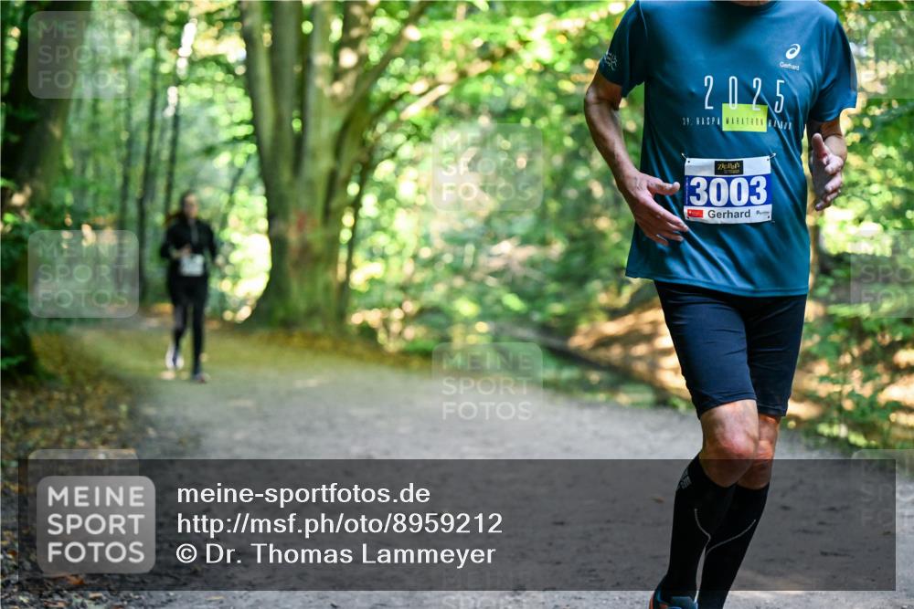 28.09.2025 - 33. Volkslauf durch das schöne Alstertal Dr. Thomas Lammeyer http://msf.ph/oto/8959212 28.09.2025 10:53:36 Laufen 2025, 39, 3003 meine-sportfotos.de