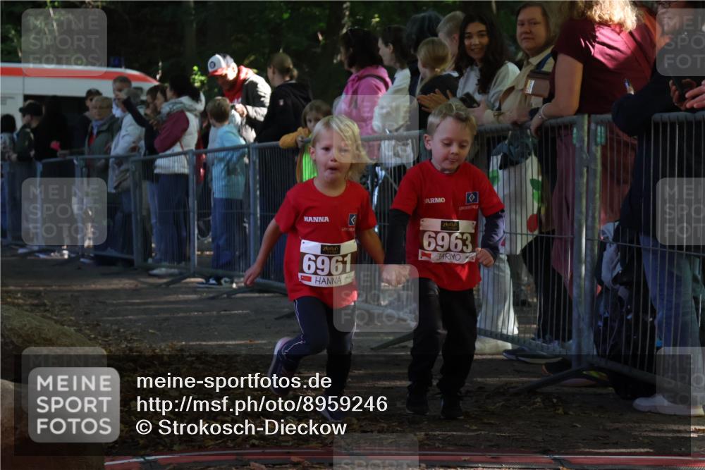 28.09.2025 - 33. Volkslauf durch das schöne Alstertal Strokosch-Dieckow http://msf.ph/oto/8959246 28.09.2025 10:43:57 Ziel  meine-sportfotos.de