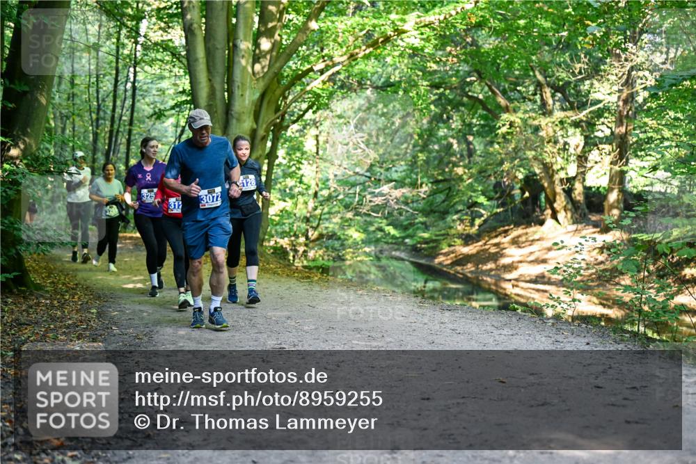 28.09.2025 - 33. Volkslauf durch das schöne Alstertal Dr. Thomas Lammeyer http://msf.ph/oto/8959255 28.09.2025 10:53:45 Laufen 31, 3072, 128 meine-sportfotos.de