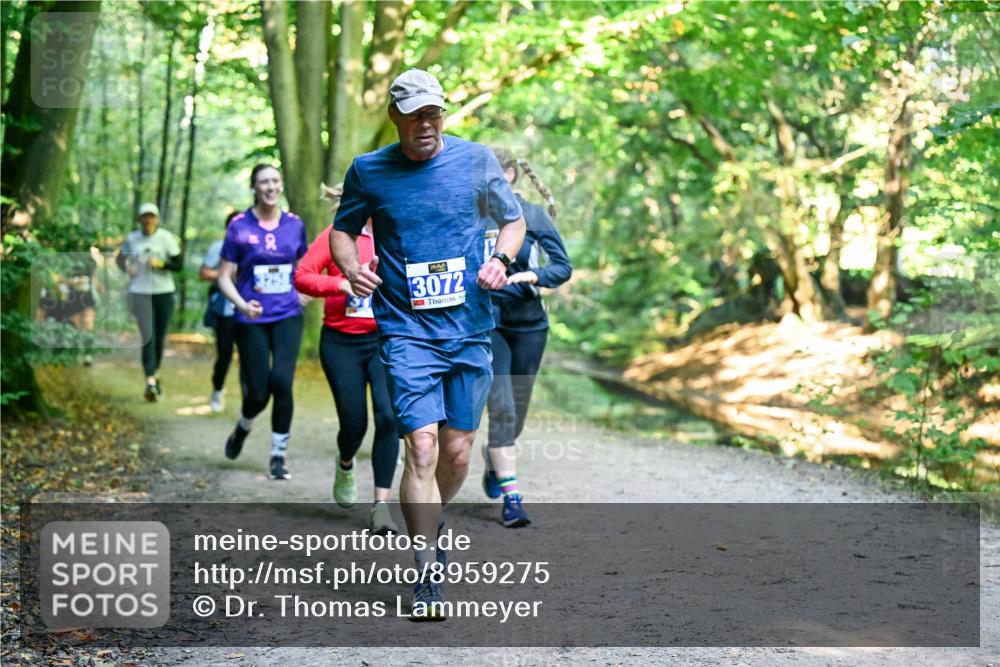 28.09.2025 - 33. Volkslauf durch das schöne Alstertal Dr. Thomas Lammeyer http://msf.ph/oto/8959275 28.09.2025 10:53:47 Laufen 3072 meine-sportfotos.de