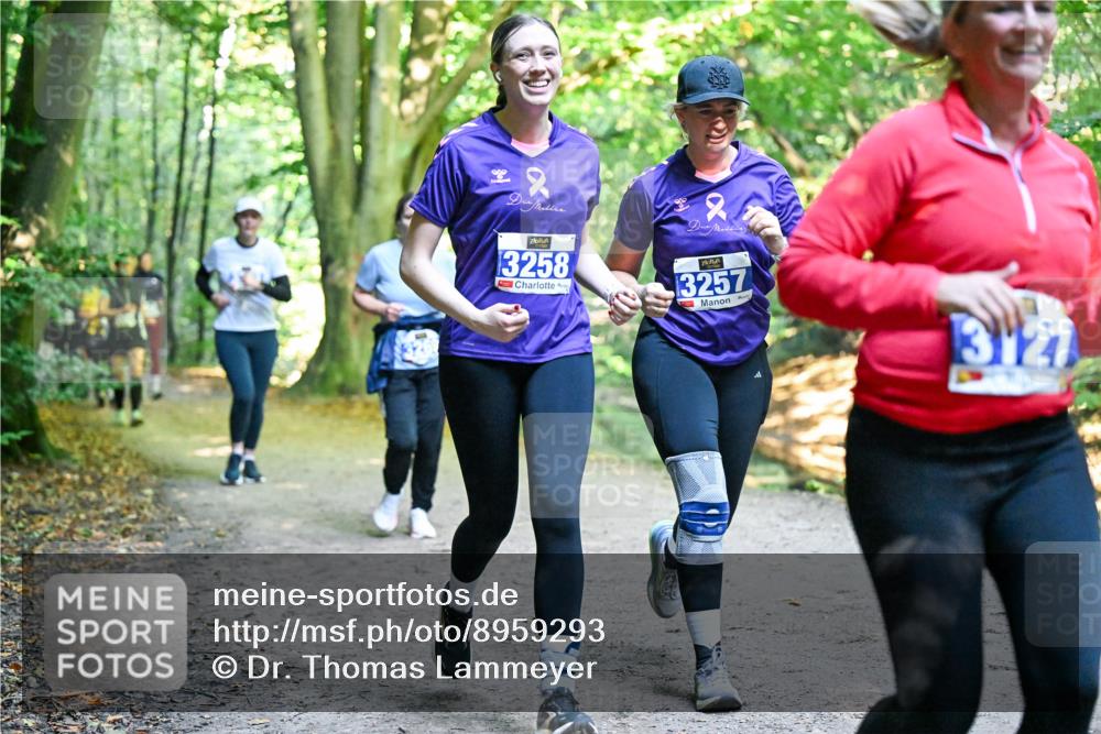 28.09.2025 - 33. Volkslauf durch das schöne Alstertal Dr. Thomas Lammeyer http://msf.ph/oto/8959293 28.09.2025 10:53:49 Laufen 3258, 3257, 3127 meine-sportfotos.de