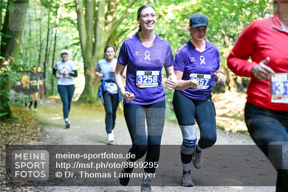 28.09.2025 - 33. Volkslauf durch das schöne Alstertal Dr. Thomas Lammeyer http://msf.ph/oto/8959295 28.09.2025 10:53:49 Laufen 2, 3258, 2, 357 meine-sportfotos.de