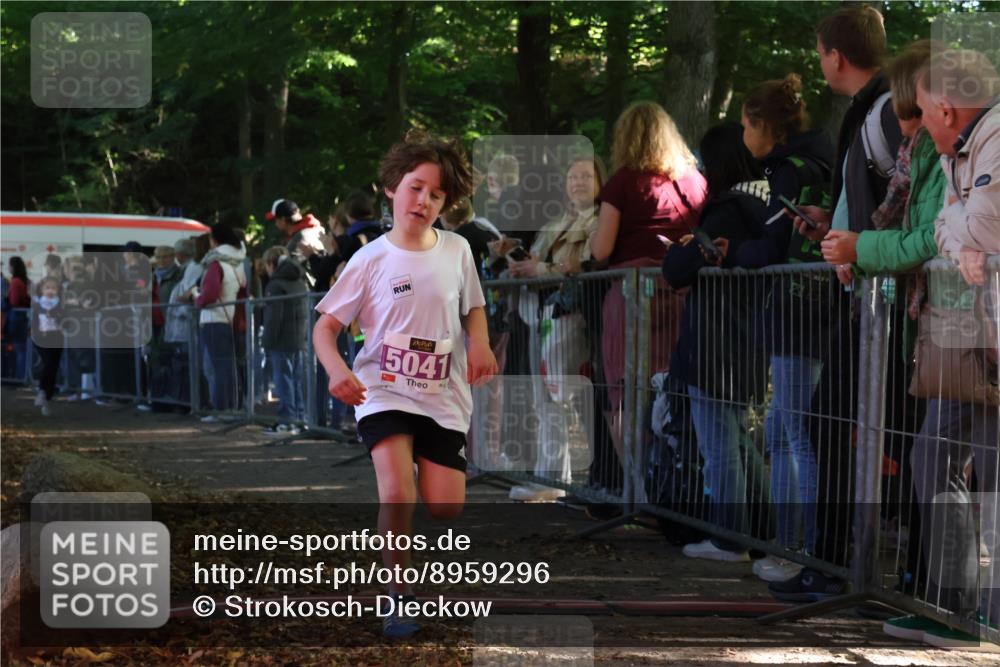 28.09.2025 - 33. Volkslauf durch das schöne Alstertal Strokosch-Dieckow http://msf.ph/oto/8959296 28.09.2025 10:44:44 Ziel 5025, 5041, 5045 meine-sportfotos.de