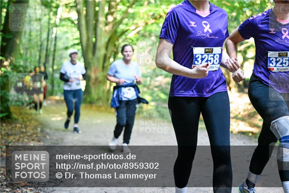 28.09.2025 - 33. Volkslauf durch das schöne Alstertal Dr. Thomas Lammeyer http://msf.ph/oto/8959302 28.09.2025 10:53:50 Laufen 2, 3258, 1325 meine-sportfotos.de