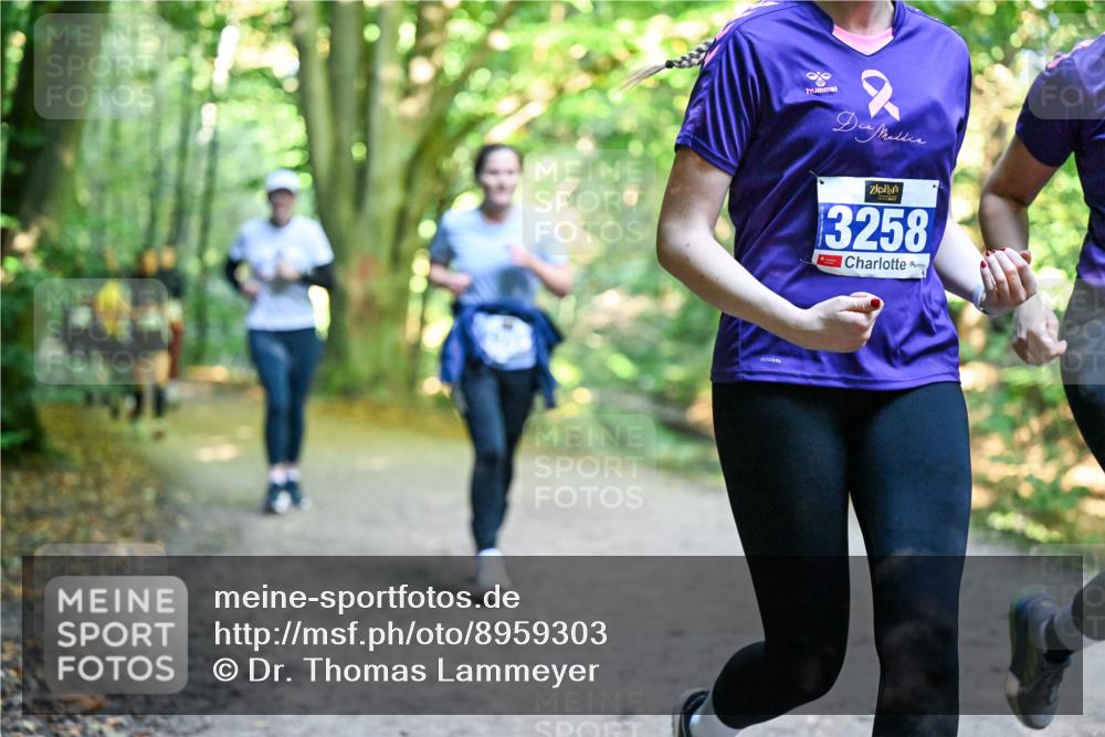 28.09.2025 - 33. Volkslauf durch das schöne Alstertal Dr. Thomas Lammeyer http://msf.ph/oto/8959303 28.09.2025 10:53:50 Laufen 3258 meine-sportfotos.de