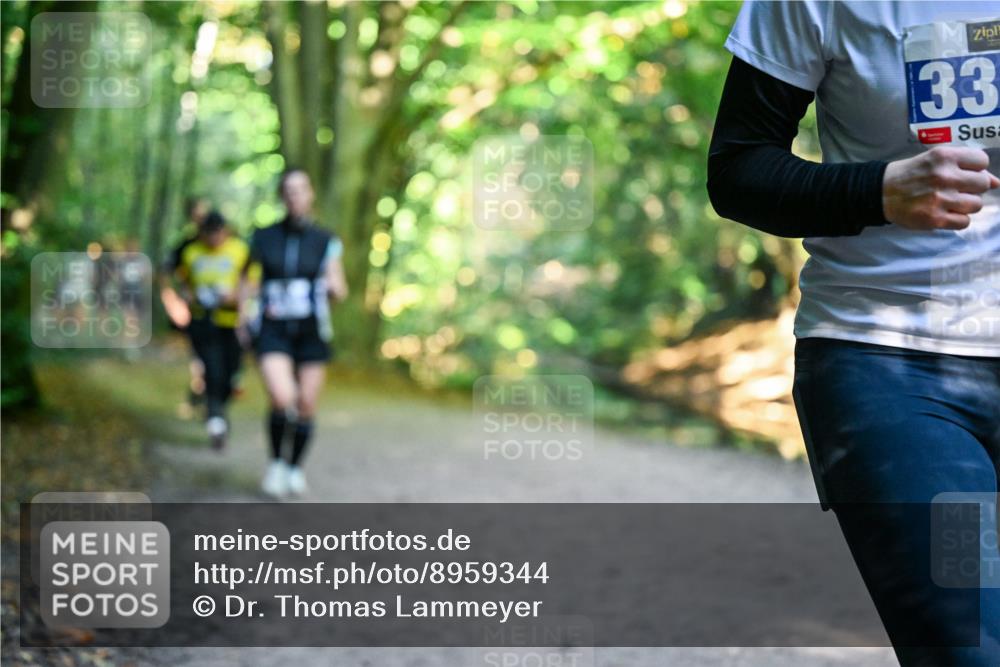28.09.2025 - 33. Volkslauf durch das schöne Alstertal Dr. Thomas Lammeyer http://msf.ph/oto/8959344 28.09.2025 10:53:54 Laufen 33 meine-sportfotos.de
