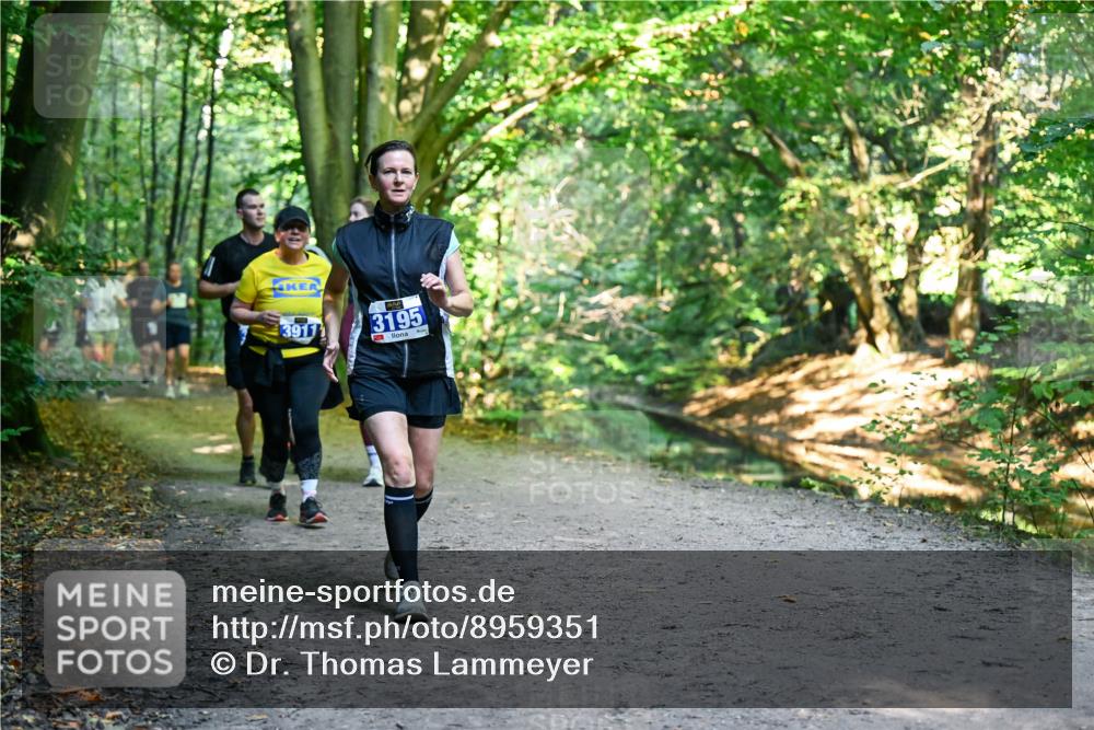 28.09.2025 - 33. Volkslauf durch das schöne Alstertal Dr. Thomas Lammeyer http://msf.ph/oto/8959351 28.09.2025 10:53:55 Laufen 3911, 3195 meine-sportfotos.de
