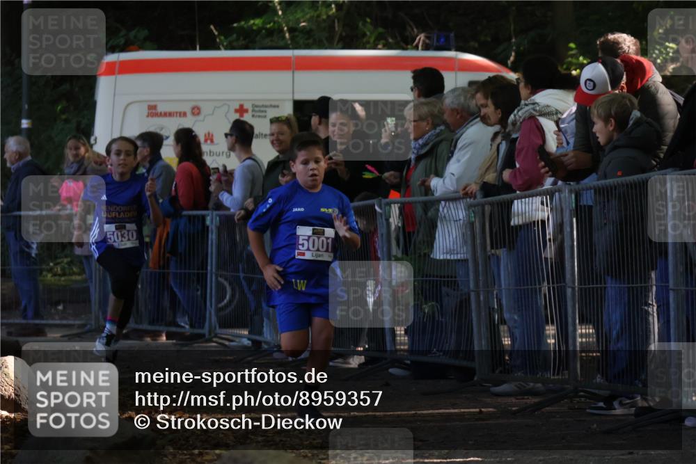 28.09.2025 - 33. Volkslauf durch das schöne Alstertal Strokosch-Dieckow http://msf.ph/oto/8959357 28.09.2025 10:45:24 Ziel 5001, 5030, 5044 meine-sportfotos.de