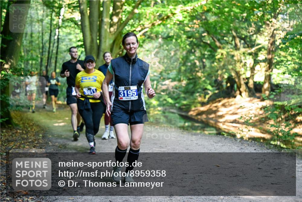 28.09.2025 - 33. Volkslauf durch das schöne Alstertal Dr. Thomas Lammeyer http://msf.ph/oto/8959358 28.09.2025 10:53:55 Laufen 3911, 3195 meine-sportfotos.de