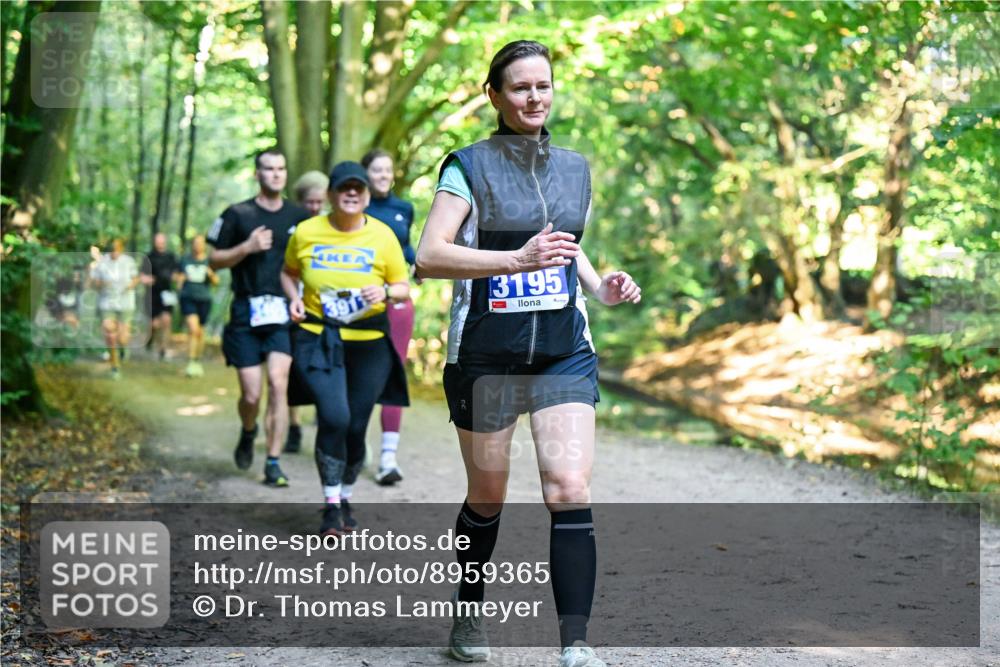 28.09.2025 - 33. Volkslauf durch das schöne Alstertal Dr. Thomas Lammeyer http://msf.ph/oto/8959365 28.09.2025 10:53:56 Laufen 391, 3195 meine-sportfotos.de