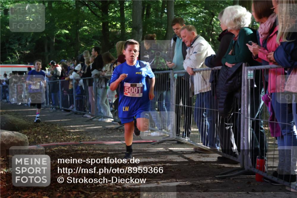 28.09.2025 - 33. Volkslauf durch das schöne Alstertal Strokosch-Dieckow http://msf.ph/oto/8959366 28.09.2025 10:45:27 Ziel 5001, 5030, 5044 meine-sportfotos.de