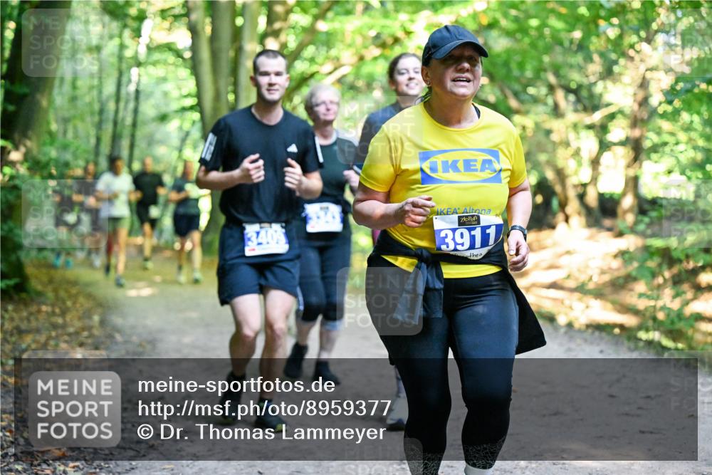 28.09.2025 - 33. Volkslauf durch das schöne Alstertal Dr. Thomas Lammeyer http://msf.ph/oto/8959377 28.09.2025 10:53:58 Laufen 3409, 3911 meine-sportfotos.de