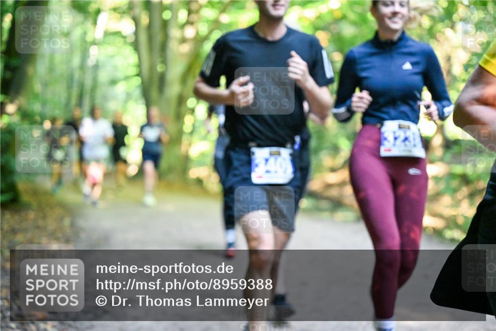 28.09.2025 - 33. Volkslauf durch das schöne Alstertal Dr. Thomas Lammeyer http://msf.ph/oto/8959388 28.09.2025 10:53:59 Laufen 1014 meine-sportfotos.de