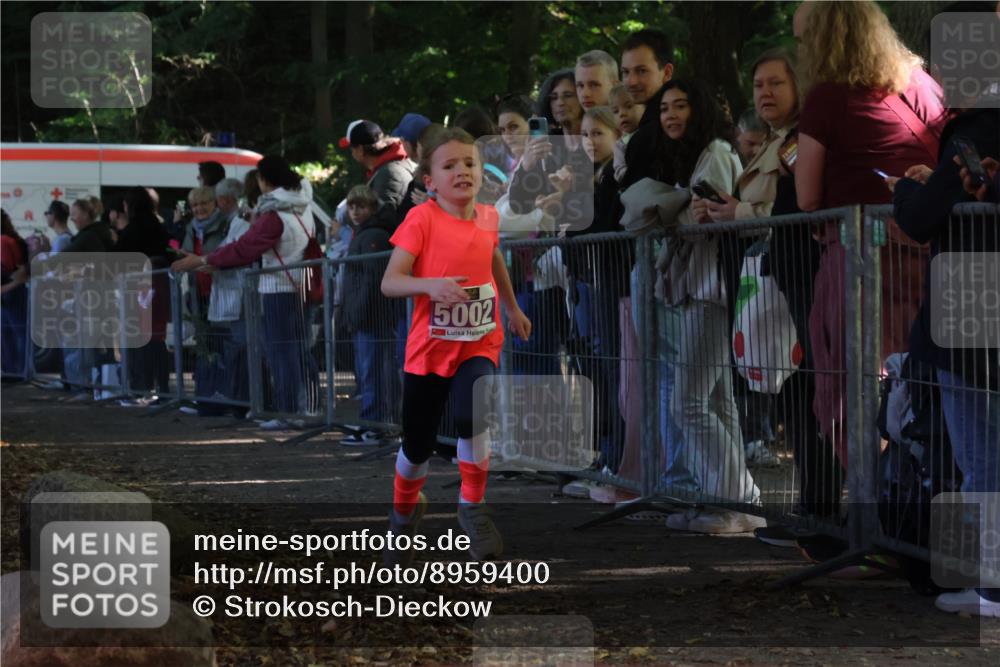 28.09.2025 - 33. Volkslauf durch das schöne Alstertal Strokosch-Dieckow http://msf.ph/oto/8959400 28.09.2025 10:45:36 Ziel 5002, 5039 meine-sportfotos.de