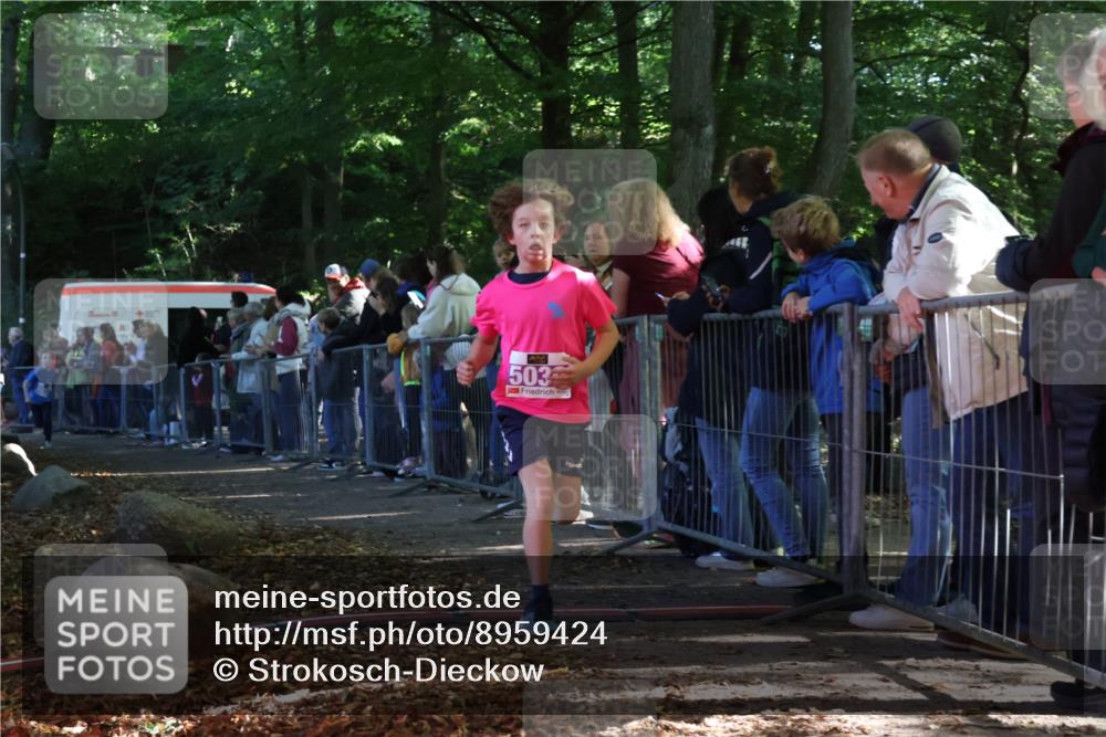 28.09.2025 - 33. Volkslauf durch das schöne Alstertal Strokosch-Dieckow http://msf.ph/oto/8959424 28.09.2025 10:45:42 Ziel 5033, 5039 meine-sportfotos.de