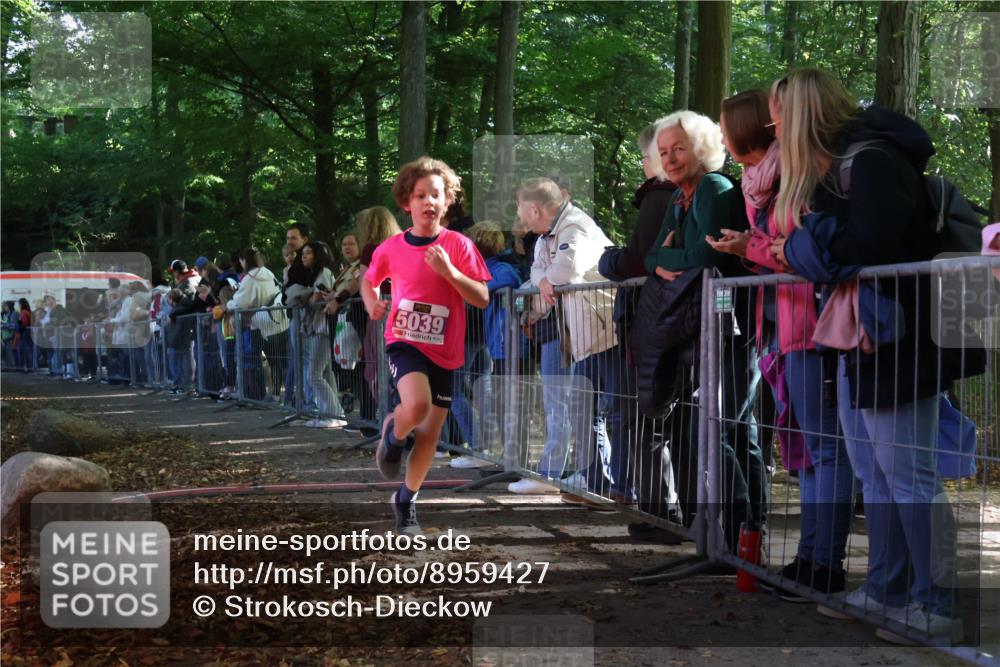 28.09.2025 - 33. Volkslauf durch das schöne Alstertal Strokosch-Dieckow http://msf.ph/oto/8959427 28.09.2025 10:45:43 Ziel 5033, 5039 meine-sportfotos.de