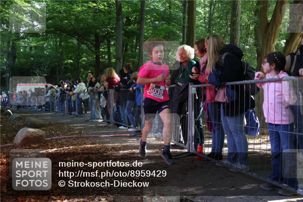 28.09.2025 - 33. Volkslauf durch das schöne Alstertal Strokosch-Dieckow http://msf.ph/oto/8959429 28.09.2025 10:45:43 Ziel 5033, 5039 meine-sportfotos.de