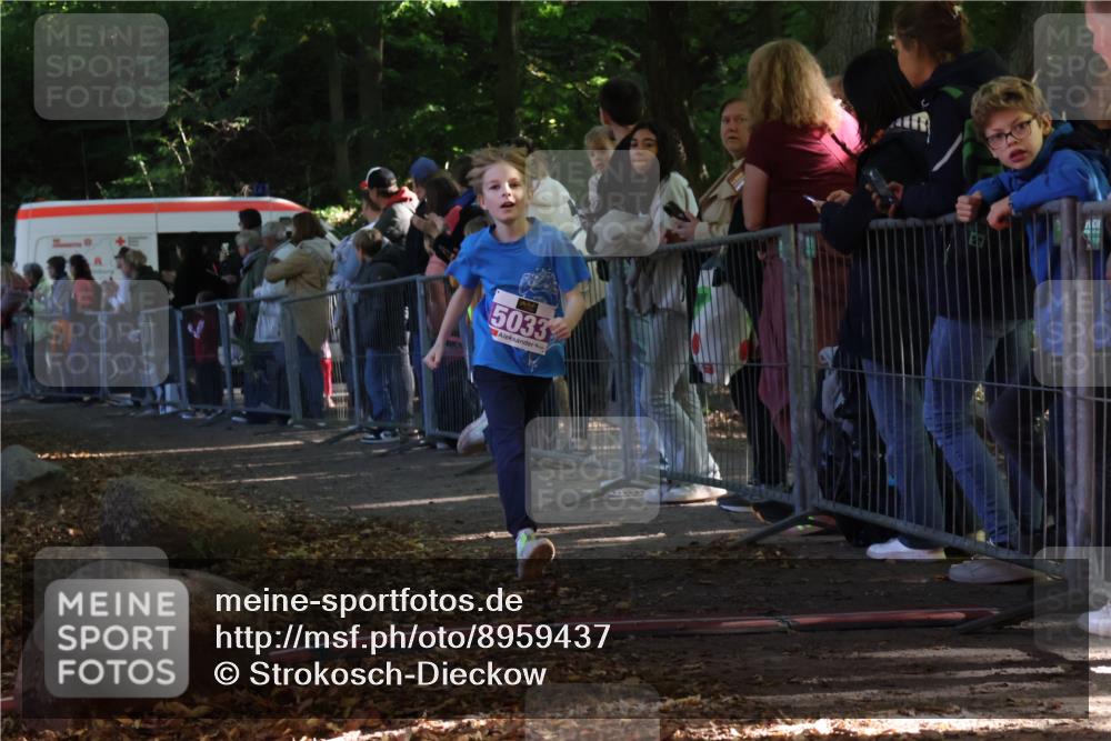 28.09.2025 - 33. Volkslauf durch das schöne Alstertal Strokosch-Dieckow http://msf.ph/oto/8959437 28.09.2025 10:45:48 Ziel 5015, 5016, 5027, 5033 meine-sportfotos.de