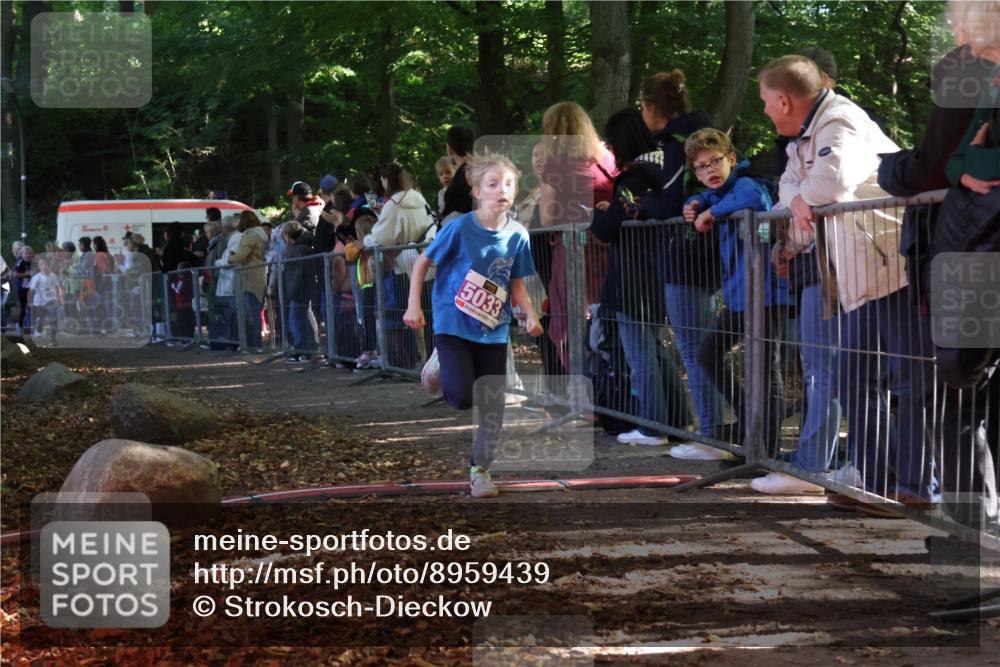 28.09.2025 - 33. Volkslauf durch das schöne Alstertal Strokosch-Dieckow http://msf.ph/oto/8959439 28.09.2025 10:45:48 Ziel 5015, 5016, 5027, 5033 meine-sportfotos.de