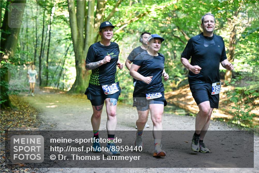 28.09.2025 - 33. Volkslauf durch das schöne Alstertal Dr. Thomas Lammeyer http://msf.ph/oto/8959440 28.09.2025 10:54:05 Laufen 3154, 9, 9, 3532, 395 meine-sportfotos.de