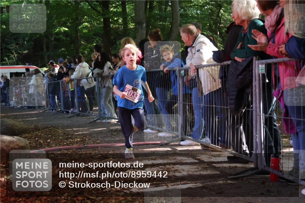 28.09.2025 - 33. Volkslauf durch das schöne Alstertal Strokosch-Dieckow http://msf.ph/oto/8959442 28.09.2025 10:45:48 Ziel 5015, 5016, 5027, 5033 meine-sportfotos.de