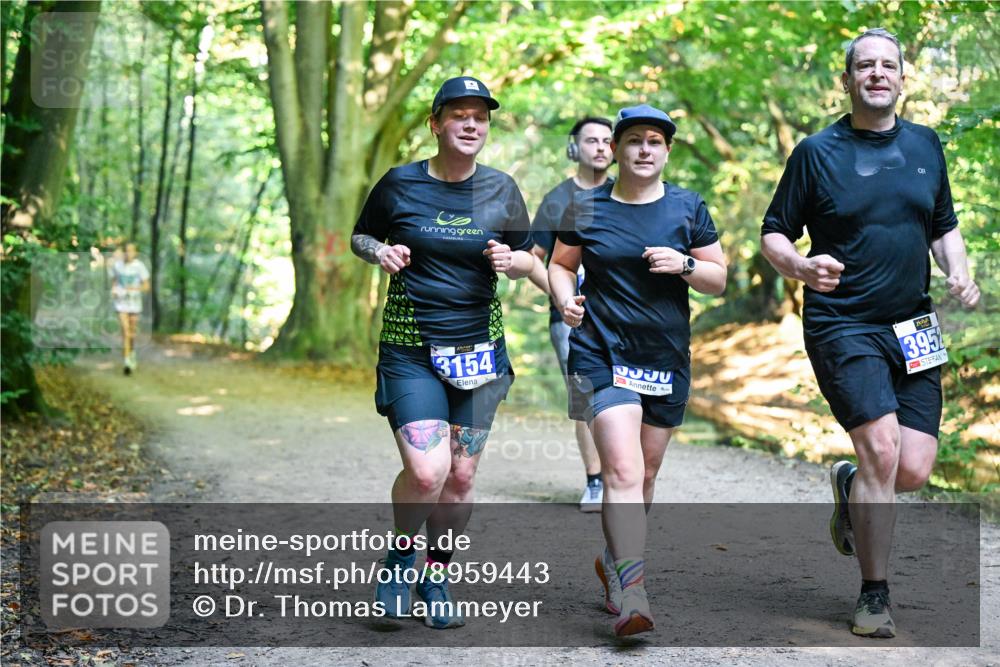 28.09.2025 - 33. Volkslauf durch das schöne Alstertal Dr. Thomas Lammeyer http://msf.ph/oto/8959443 28.09.2025 10:54:05 Laufen 3154, 395 meine-sportfotos.de