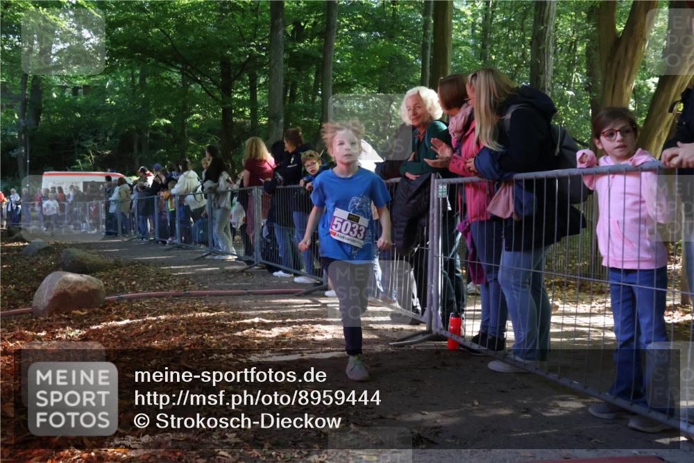 28.09.2025 - 33. Volkslauf durch das schöne Alstertal Strokosch-Dieckow http://msf.ph/oto/8959444 28.09.2025 10:45:49 Ziel 5015, 5016, 5027, 5033 meine-sportfotos.de