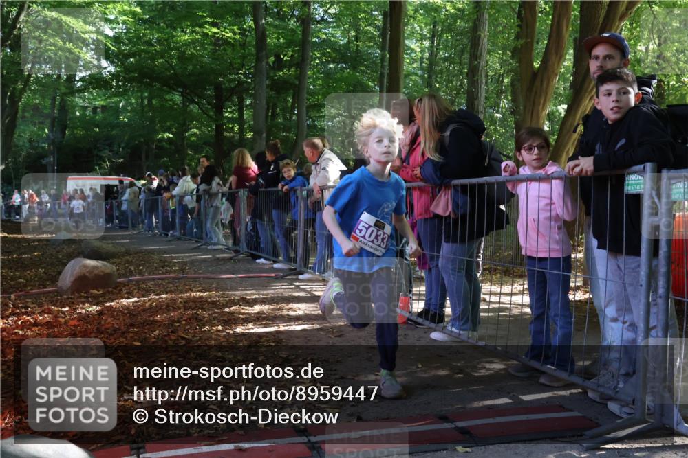 28.09.2025 - 33. Volkslauf durch das schöne Alstertal Strokosch-Dieckow http://msf.ph/oto/8959447 28.09.2025 10:45:49 Ziel 5015, 5016, 5027, 5033 meine-sportfotos.de