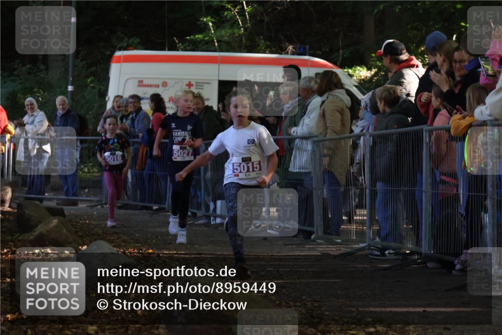28.09.2025 - 33. Volkslauf durch das schöne Alstertal Strokosch-Dieckow http://msf.ph/oto/8959449 28.09.2025 10:45:51 Ziel 5015, 5016, 5027 meine-sportfotos.de