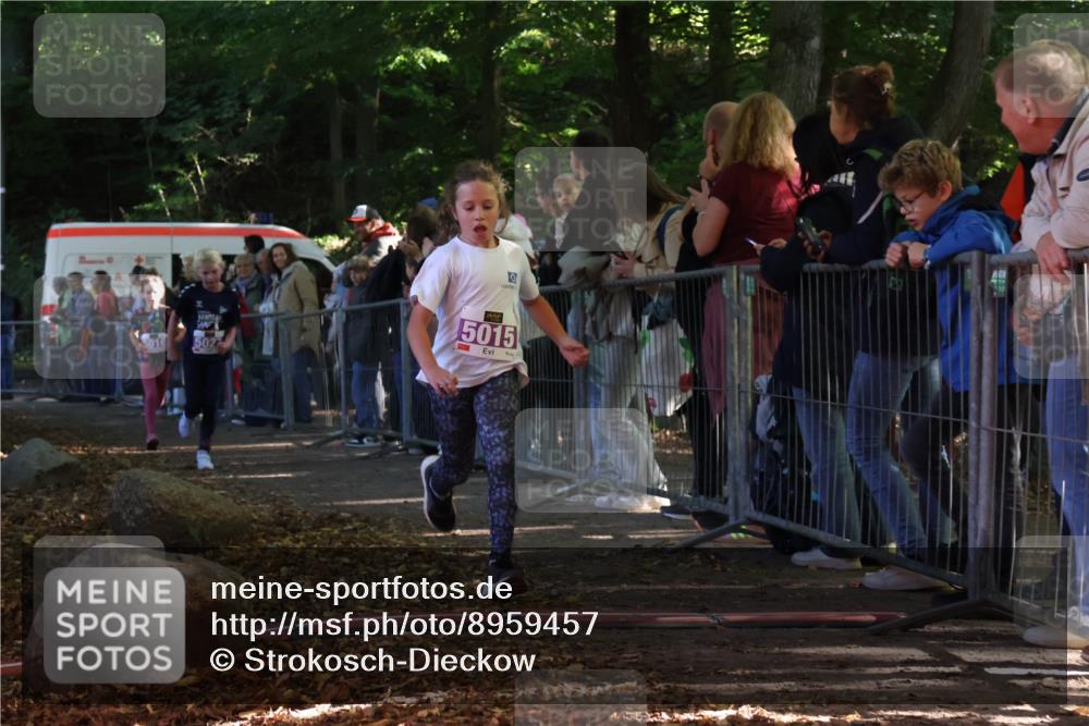 28.09.2025 - 33. Volkslauf durch das schöne Alstertal Strokosch-Dieckow http://msf.ph/oto/8959457 28.09.2025 10:45:53 Ziel 5015, 5016, 5027 meine-sportfotos.de