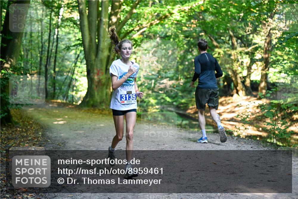 28.09.2025 - 33. Volkslauf durch das schöne Alstertal Dr. Thomas Lammeyer http://msf.ph/oto/8959461 28.09.2025 10:54:13 Laufen 3135 meine-sportfotos.de