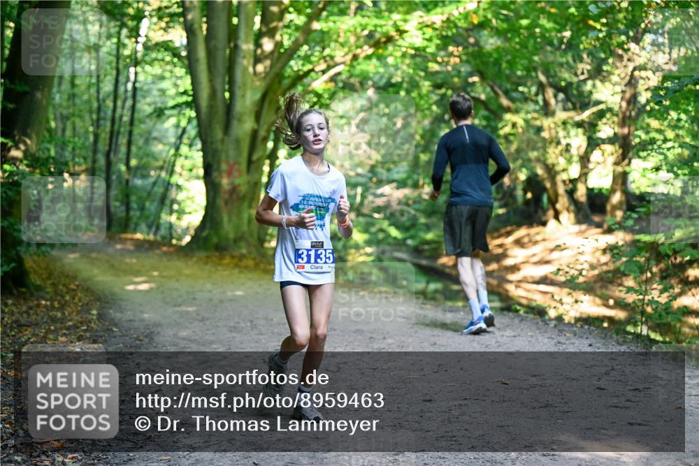 28.09.2025 - 33. Volkslauf durch das schöne Alstertal Dr. Thomas Lammeyer http://msf.ph/oto/8959463 28.09.2025 10:54:13 Laufen 13135 meine-sportfotos.de