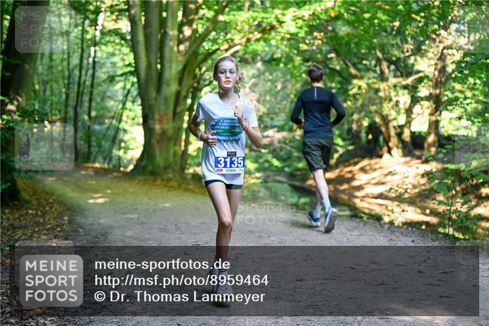 28.09.2025 - 33. Volkslauf durch das schöne Alstertal Dr. Thomas Lammeyer http://msf.ph/oto/8959464 28.09.2025 10:54:13 Laufen 6, 2025, 13135 meine-sportfotos.de