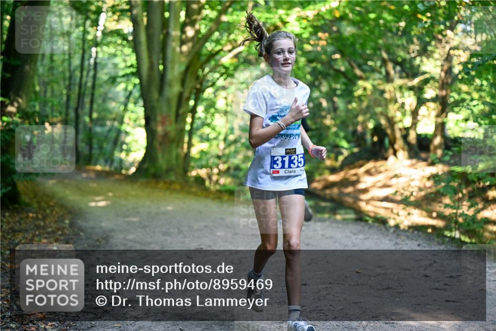 28.09.2025 - 33. Volkslauf durch das schöne Alstertal Dr. Thomas Lammeyer http://msf.ph/oto/8959469 28.09.2025 10:54:13 Laufen 3135 meine-sportfotos.de