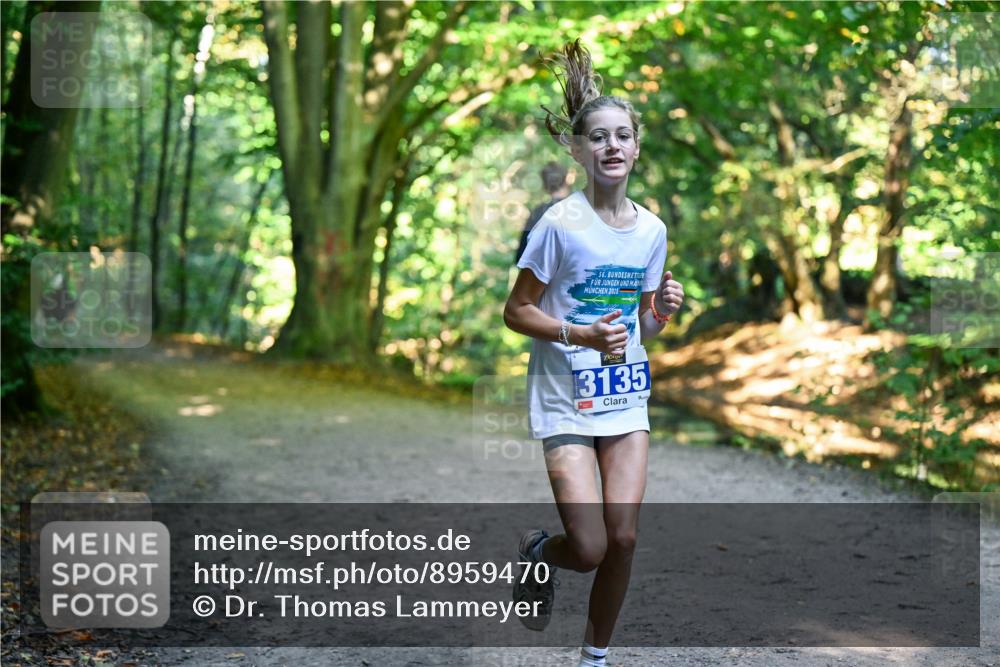 28.09.2025 - 33. Volkslauf durch das schöne Alstertal Dr. Thomas Lammeyer http://msf.ph/oto/8959470 28.09.2025 10:54:14 Laufen 56, 2025, 3135, 1 meine-sportfotos.de