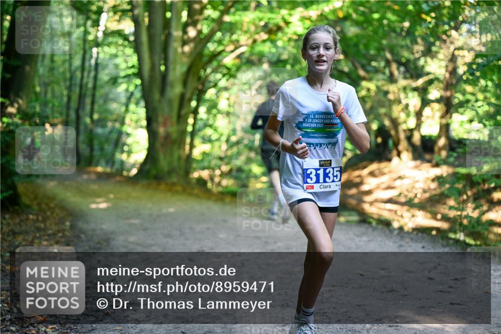 28.09.2025 - 33. Volkslauf durch das schöne Alstertal Dr. Thomas Lammeyer http://msf.ph/oto/8959471 28.09.2025 10:54:14 Laufen 56, 2025, 3135 meine-sportfotos.de