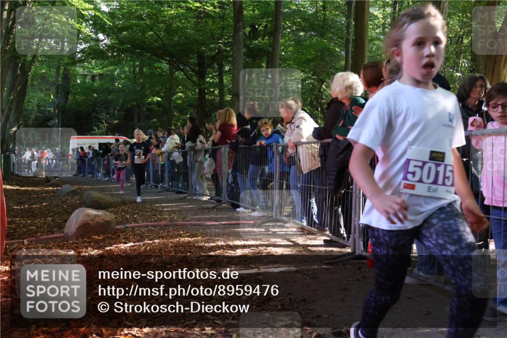 28.09.2025 - 33. Volkslauf durch das schöne Alstertal Strokosch-Dieckow http://msf.ph/oto/8959476 28.09.2025 10:45:54 Ziel 5015, 5016, 5027 meine-sportfotos.de