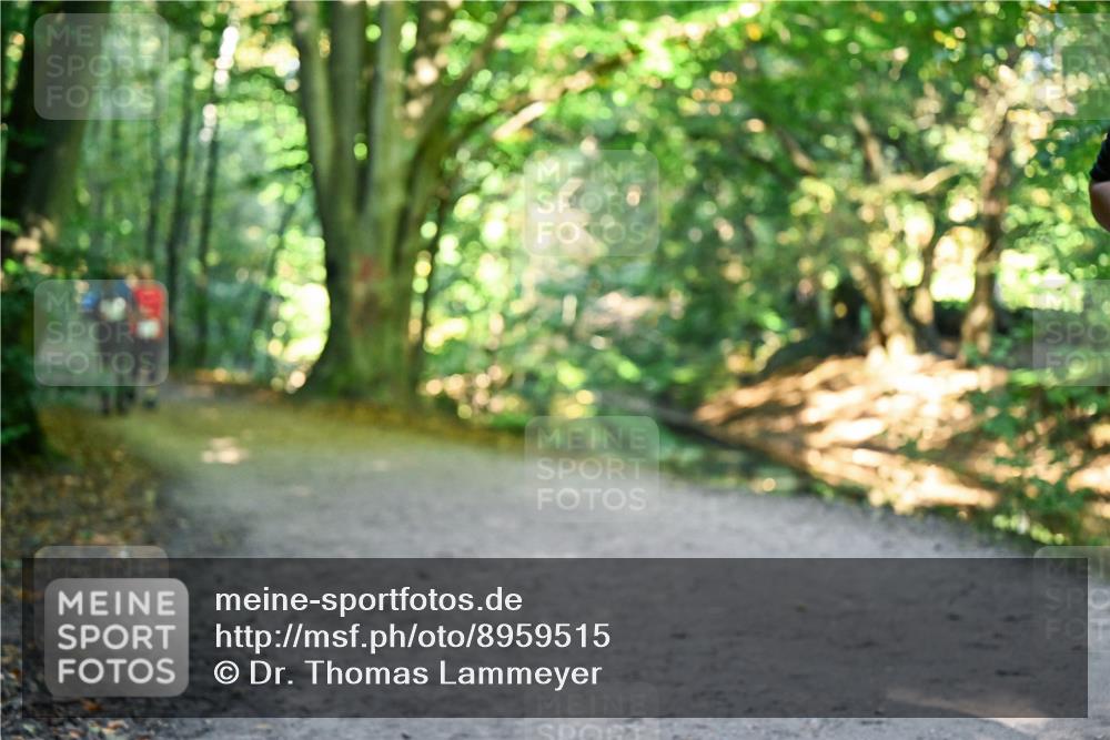 28.09.2025 - 33. Volkslauf durch das schöne Alstertal Dr. Thomas Lammeyer http://msf.ph/oto/8959515 28.09.2025 10:54:33 Laufen  meine-sportfotos.de