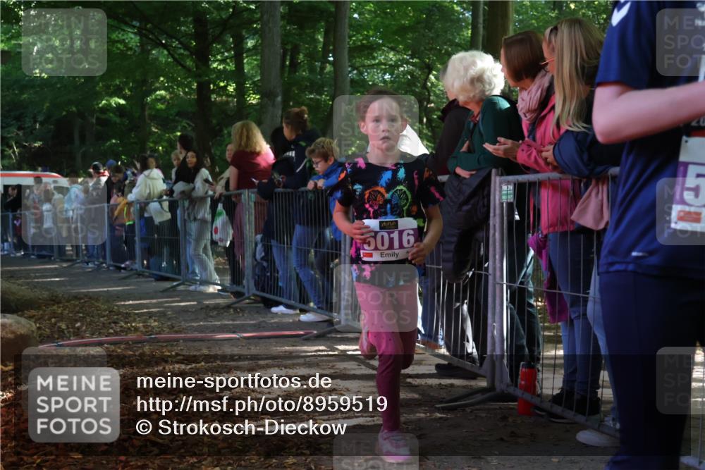 28.09.2025 - 33. Volkslauf durch das schöne Alstertal Strokosch-Dieckow http://msf.ph/oto/8959519 28.09.2025 10:45:58 Ziel 5016 meine-sportfotos.de
