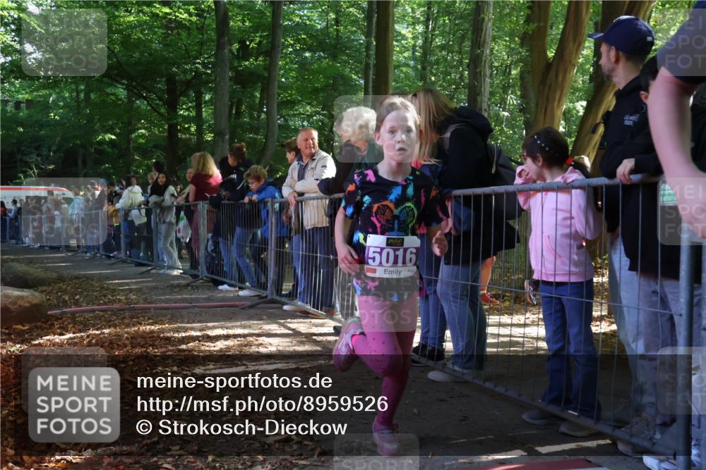 28.09.2025 - 33. Volkslauf durch das schöne Alstertal Strokosch-Dieckow http://msf.ph/oto/8959526 28.09.2025 10:45:58 Ziel 5016 meine-sportfotos.de