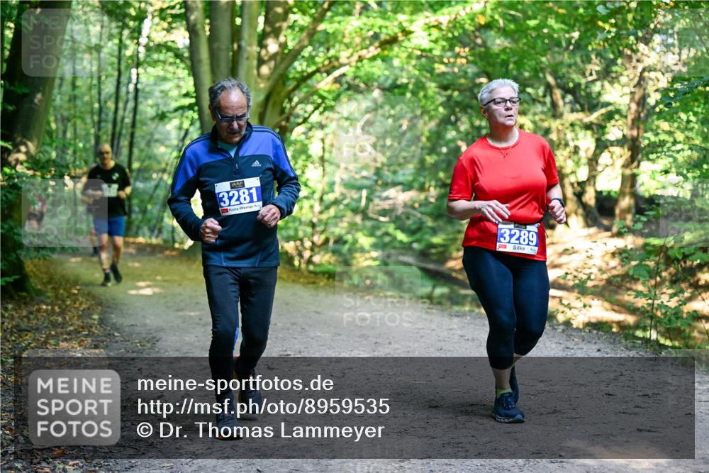28.09.2025 - 33. Volkslauf durch das schöne Alstertal Dr. Thomas Lammeyer http://msf.ph/oto/8959535 28.09.2025 10:54:40 Laufen 3281, 3289, 1 meine-sportfotos.de