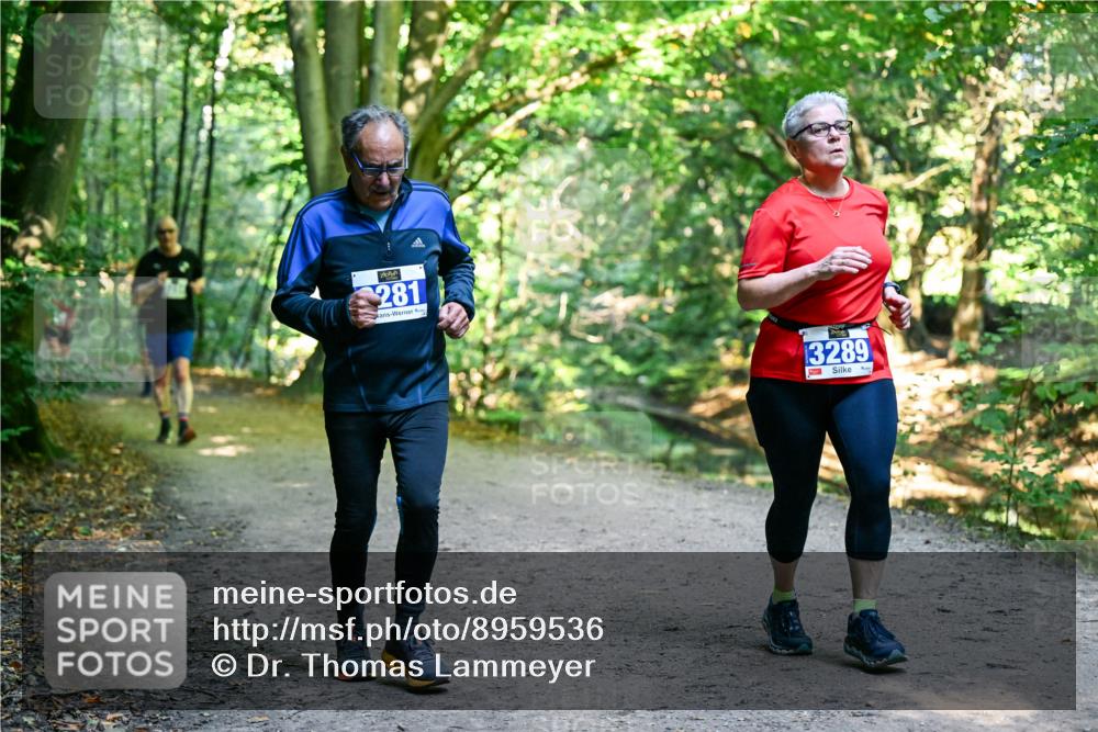 28.09.2025 - 33. Volkslauf durch das schöne Alstertal Dr. Thomas Lammeyer http://msf.ph/oto/8959536 28.09.2025 10:54:40 Laufen 281, 3289 meine-sportfotos.de