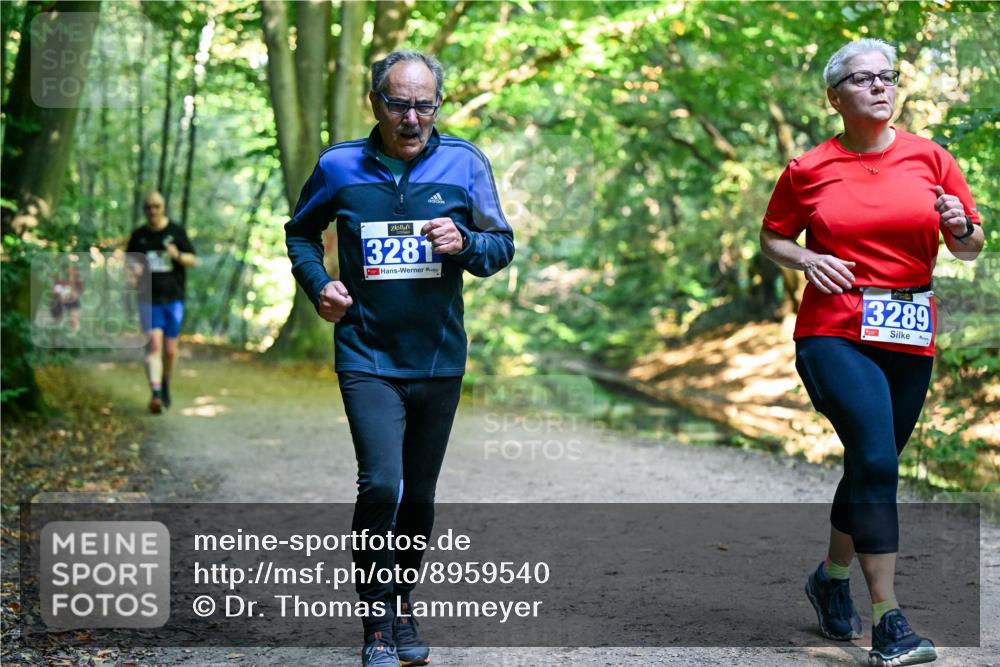 28.09.2025 - 33. Volkslauf durch das schöne Alstertal Dr. Thomas Lammeyer http://msf.ph/oto/8959540 28.09.2025 10:54:41 Laufen 3281, 3289, 1 meine-sportfotos.de