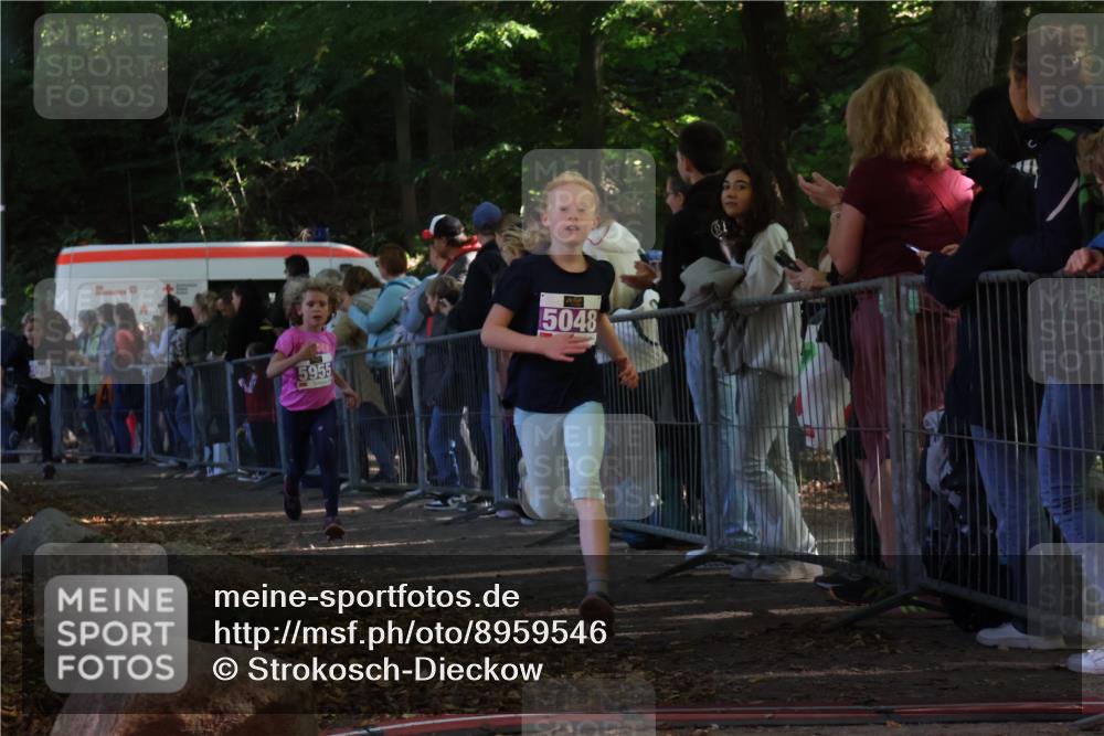 28.09.2025 - 33. Volkslauf durch das schöne Alstertal Strokosch-Dieckow http://msf.ph/oto/8959546 28.09.2025 10:46:10 Ziel 5048, 5955, 5962 meine-sportfotos.de